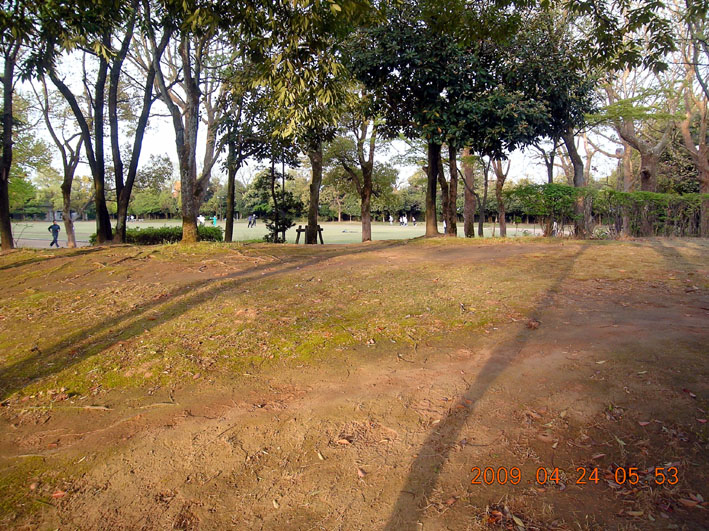 c0078410_8554739.jpg
