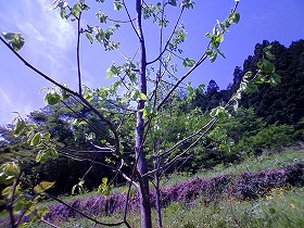よく、はかどったわ!_c0060919_15203819.jpg