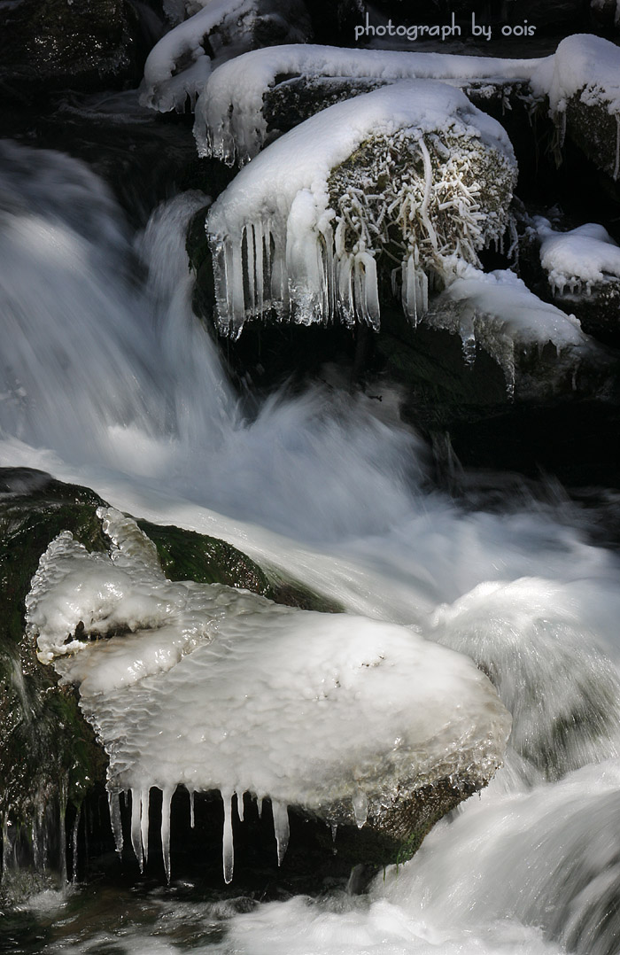 e0123723_6192497.jpg