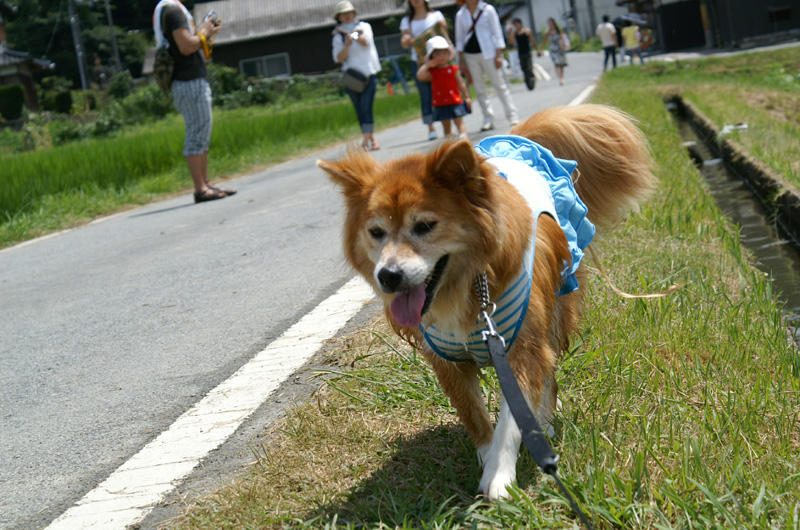 b0173224_23324048.jpg