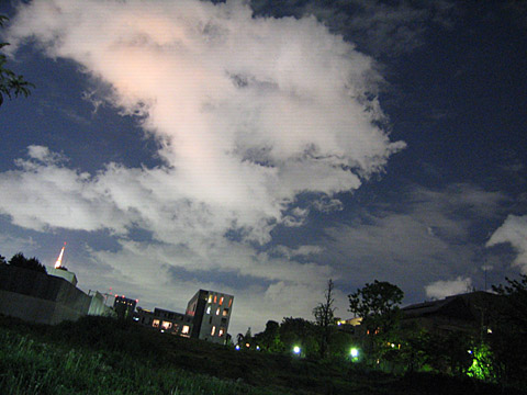 e0089826_014371.jpg