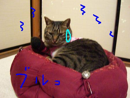 週末の一撃_a0099131_23304879.jpg
