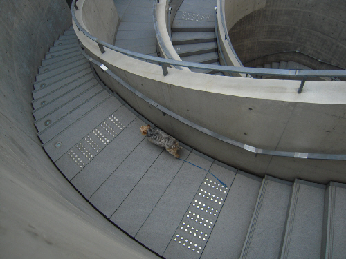 d0017632_820964.jpg