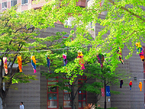 d0017632_8262092.jpg
