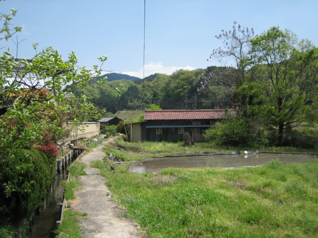 d0135633_1640683.jpg