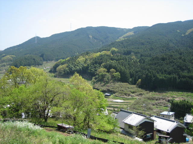 d0135633_17114892.jpg