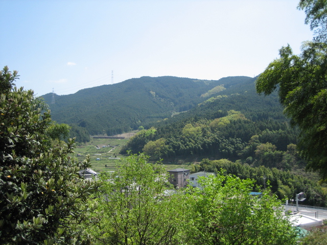 d0135633_17122187.jpg