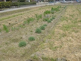 f0167635_6214696.jpg