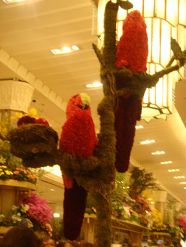 d0095837_1514169.jpg