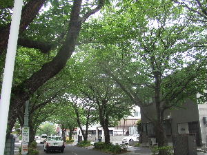 a0054240_21163039.jpg