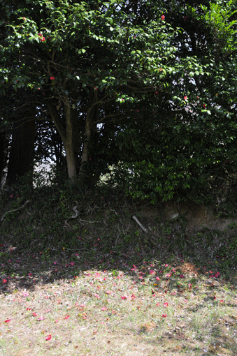 c0093046_7511422.gif