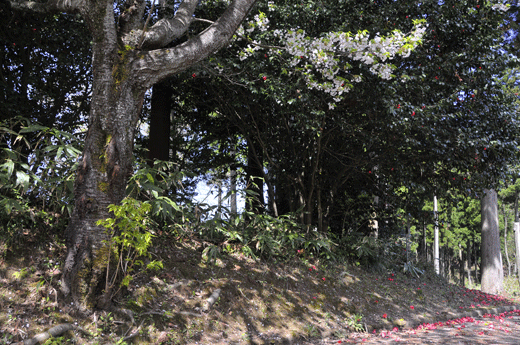 c0093046_7513352.gif