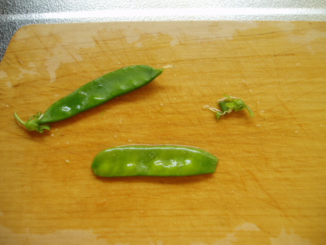 e0038047_1652934.jpg