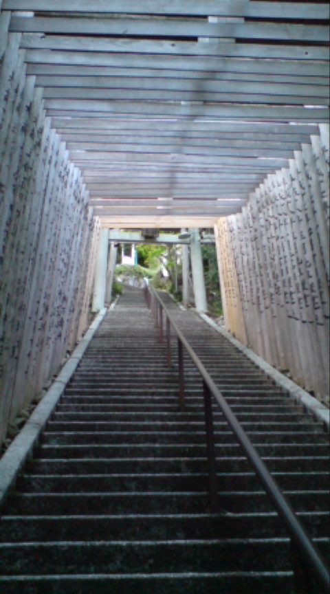 b0142354_9352029.jpg