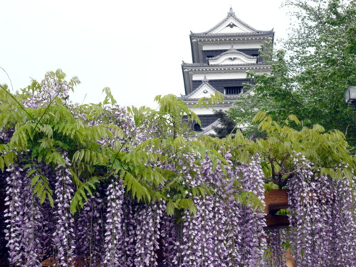 c0043055_13193916.jpg