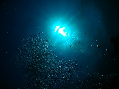 a0117858_08266.jpg
