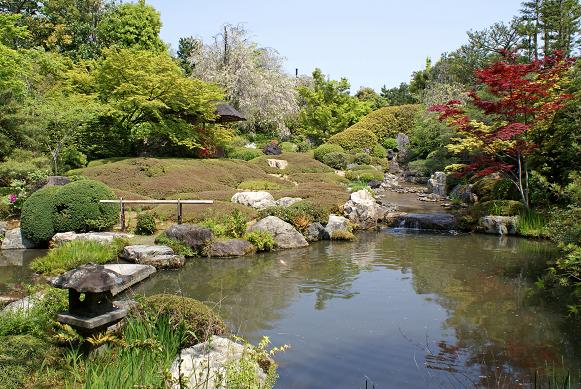 妙心寺退蔵院の2つの庭_b0063958_2322853.jpg