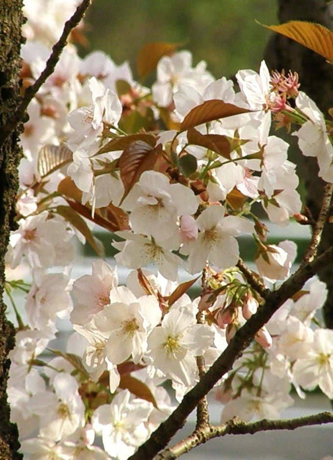 e0064158_23302061.jpg