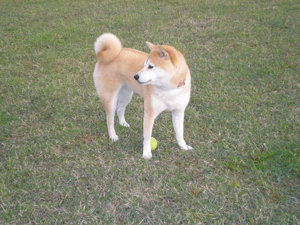 2009年4月24日(金)春にはアウトドアが最高!_f0060461_20313285.jpg