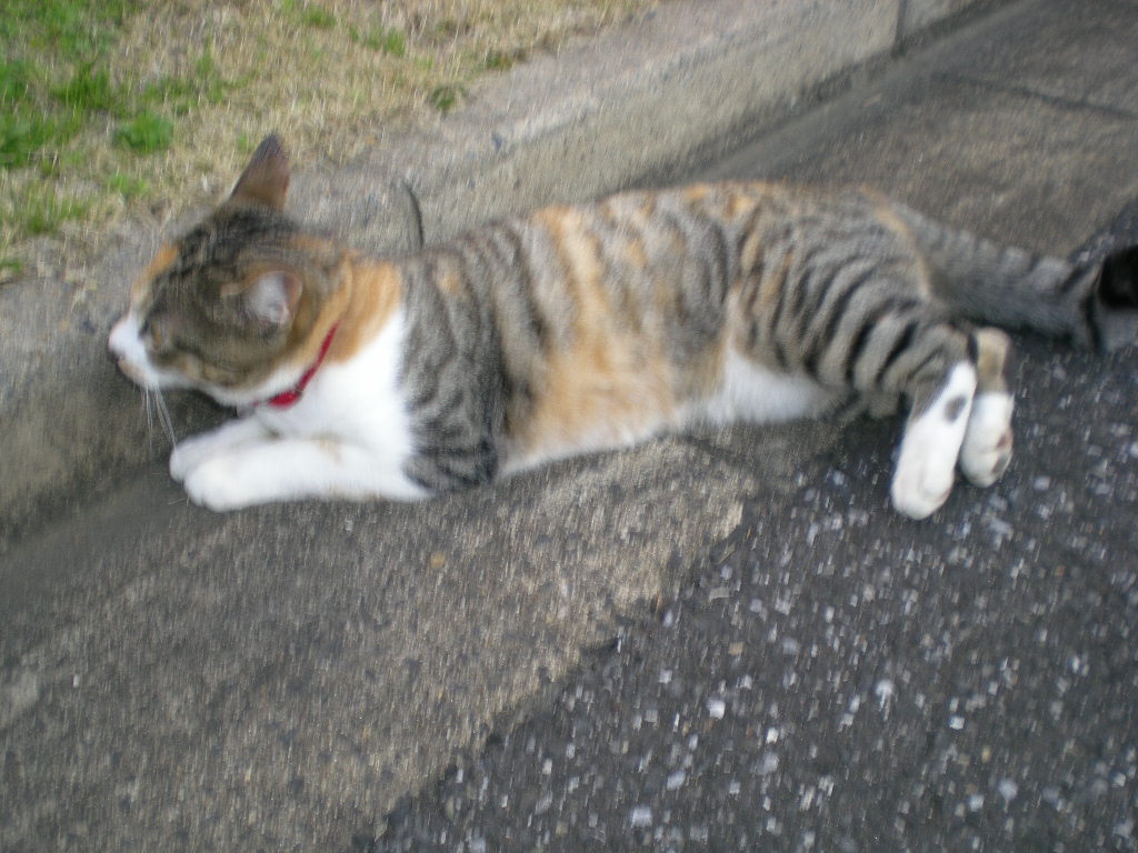 2009年4月24日(金)春にはアウトドアが最高!_f0060461_21262944.jpg