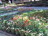 d0133863_019027.jpg