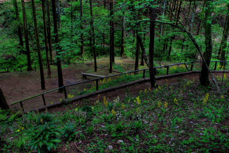 f0171065_0333773.jpg