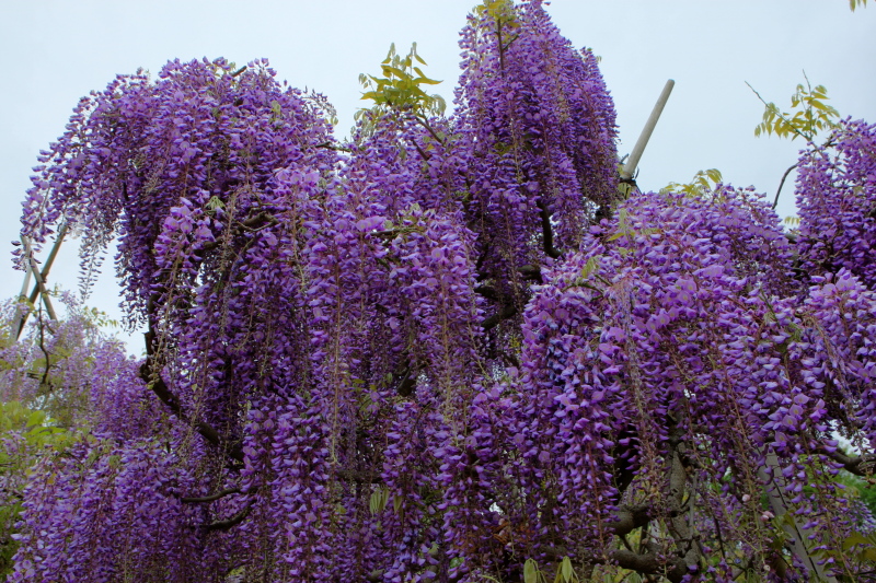 f0171065_2201927.jpg
