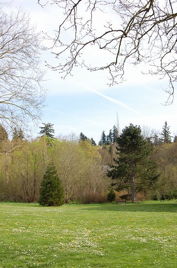 e0128367_1175971.jpg
