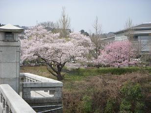 b0111970_12431954.jpg
