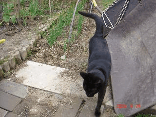 d0007071_22283587.gif