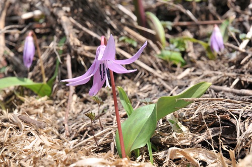 f0159390_13191331.jpg