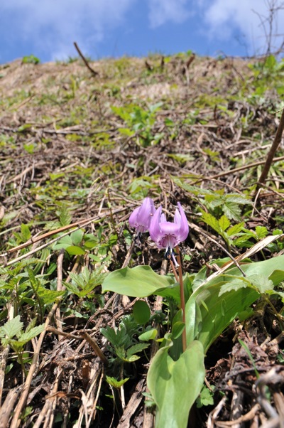 f0159390_13211590.jpg