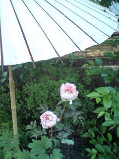 f0059291_15164134.jpg