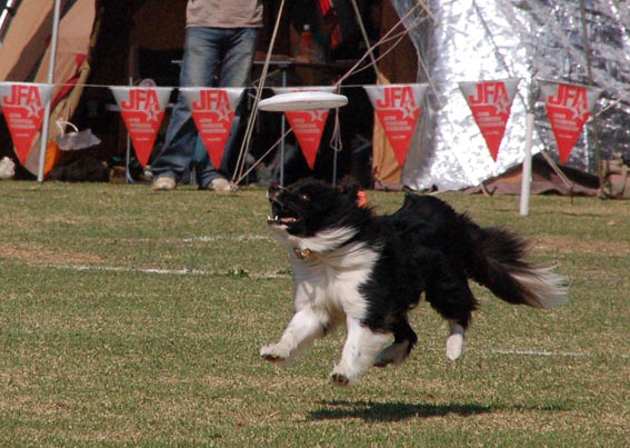 f0094391_1037577.jpg