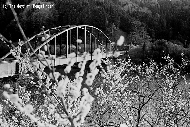f0139991_22503312.jpg