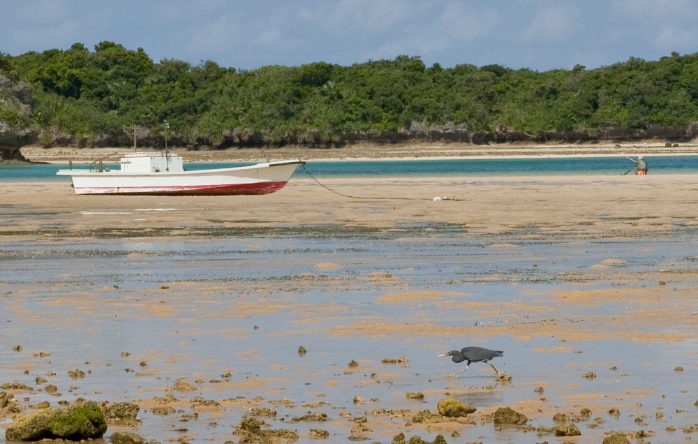 c0124795_982296.jpg