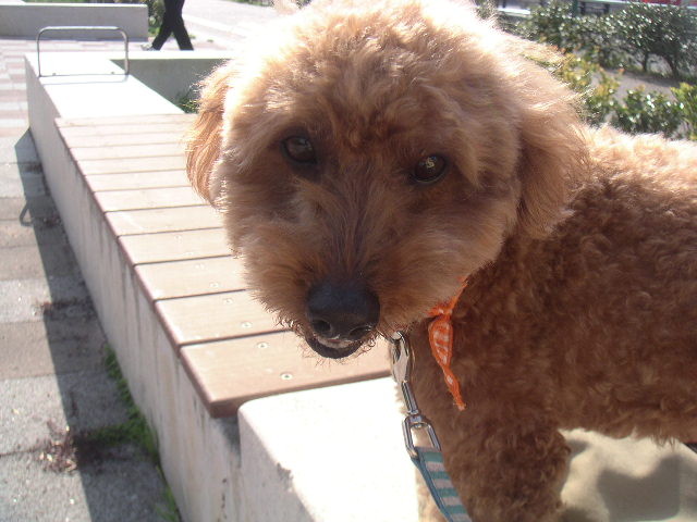 c0173896_14222092.jpg