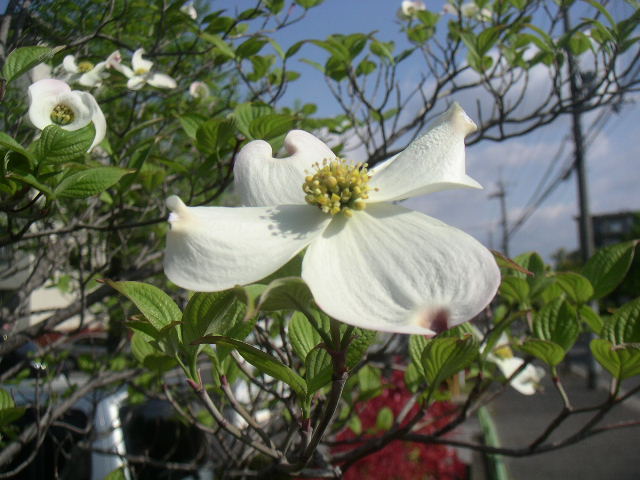 c0173896_1425209.jpg
