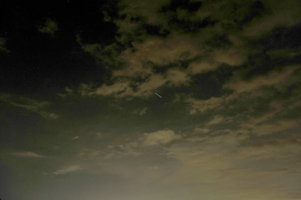 パパセミ顎髭を蓄えました/ISS_b0024798_5525337.jpg