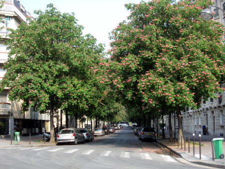 c0090198_30402.jpg