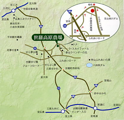 c0142898_2363643.jpg