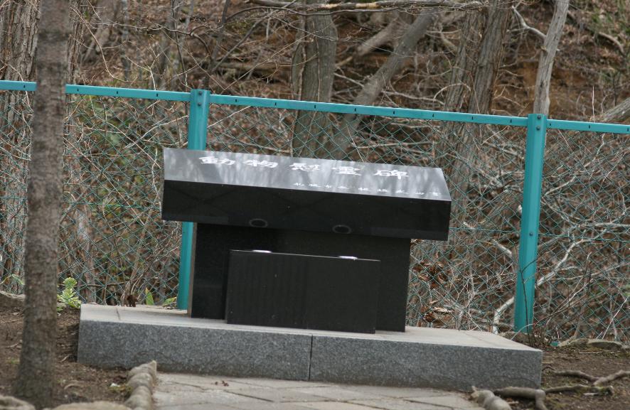 c0155902_21321024.jpg