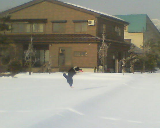 b0172209_98545.jpg