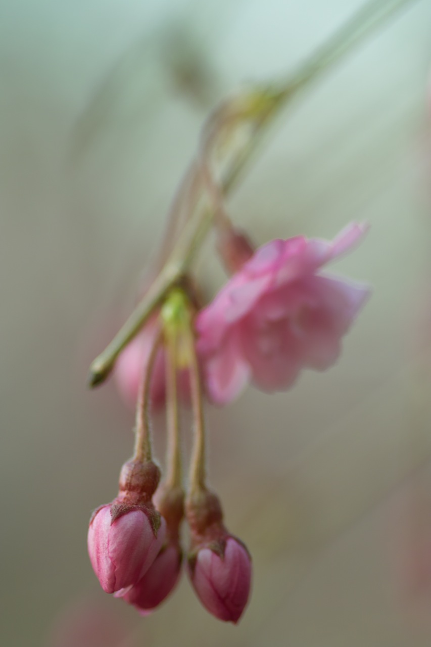 b0137311_0591260.jpg