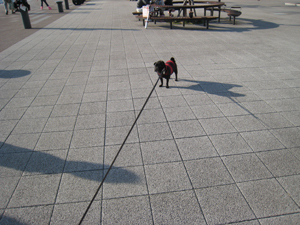 a0096015_14133040.jpg
