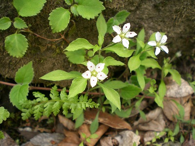b0141916_22515937.jpg