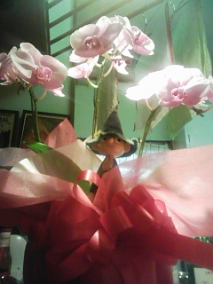 c0107417_22573868.jpg