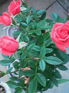 f0207320_22172872.jpg