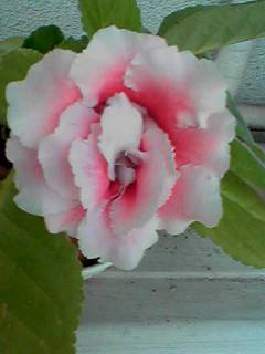 f0207320_22173714.jpg