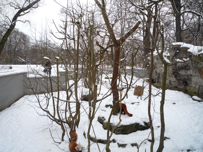 Deutschland-Tierpark Berlin Friedrichsfelde_a0091329_1235217.jpg